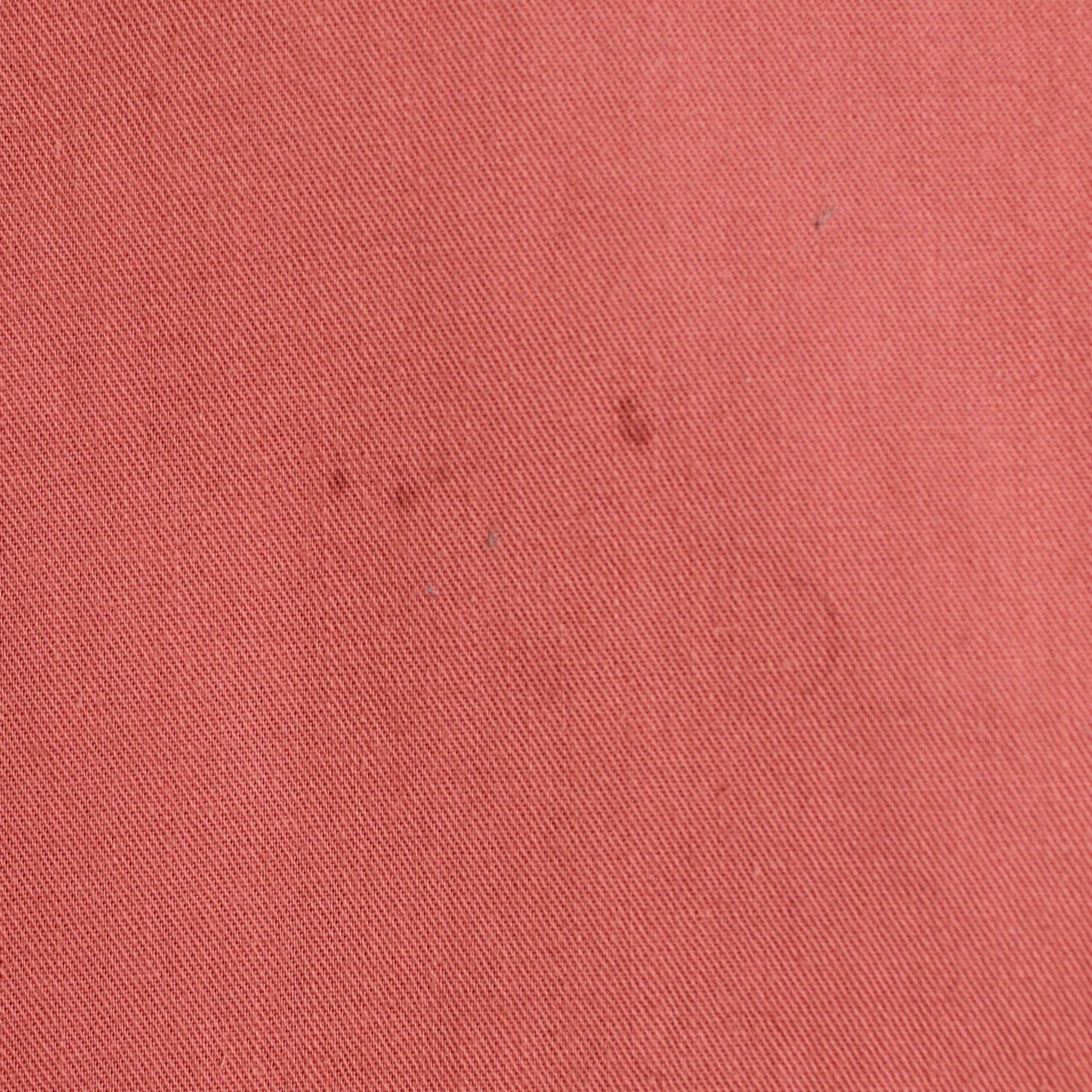 Polo Country Sportsman Logo Embroidered Button-Up Shirt