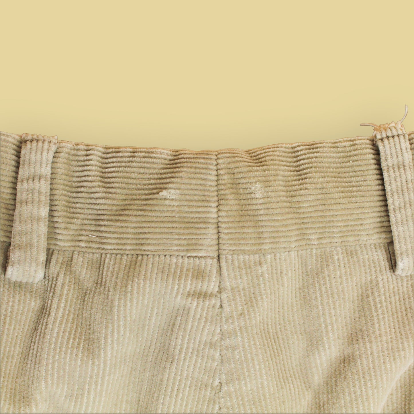 Loro Piana Pleated Corduroy Pants