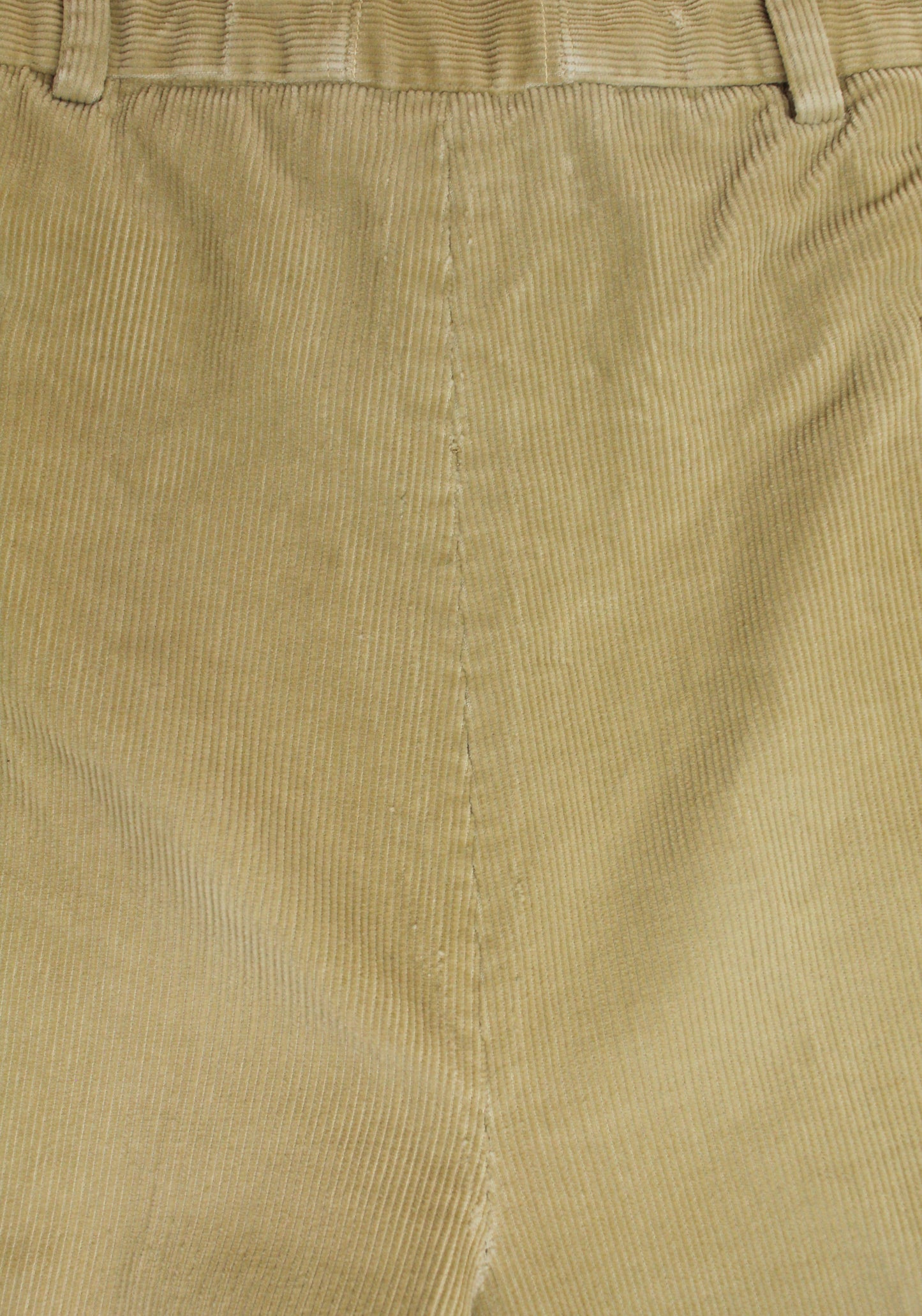 Loro Piana Pleated Corduroy Pants