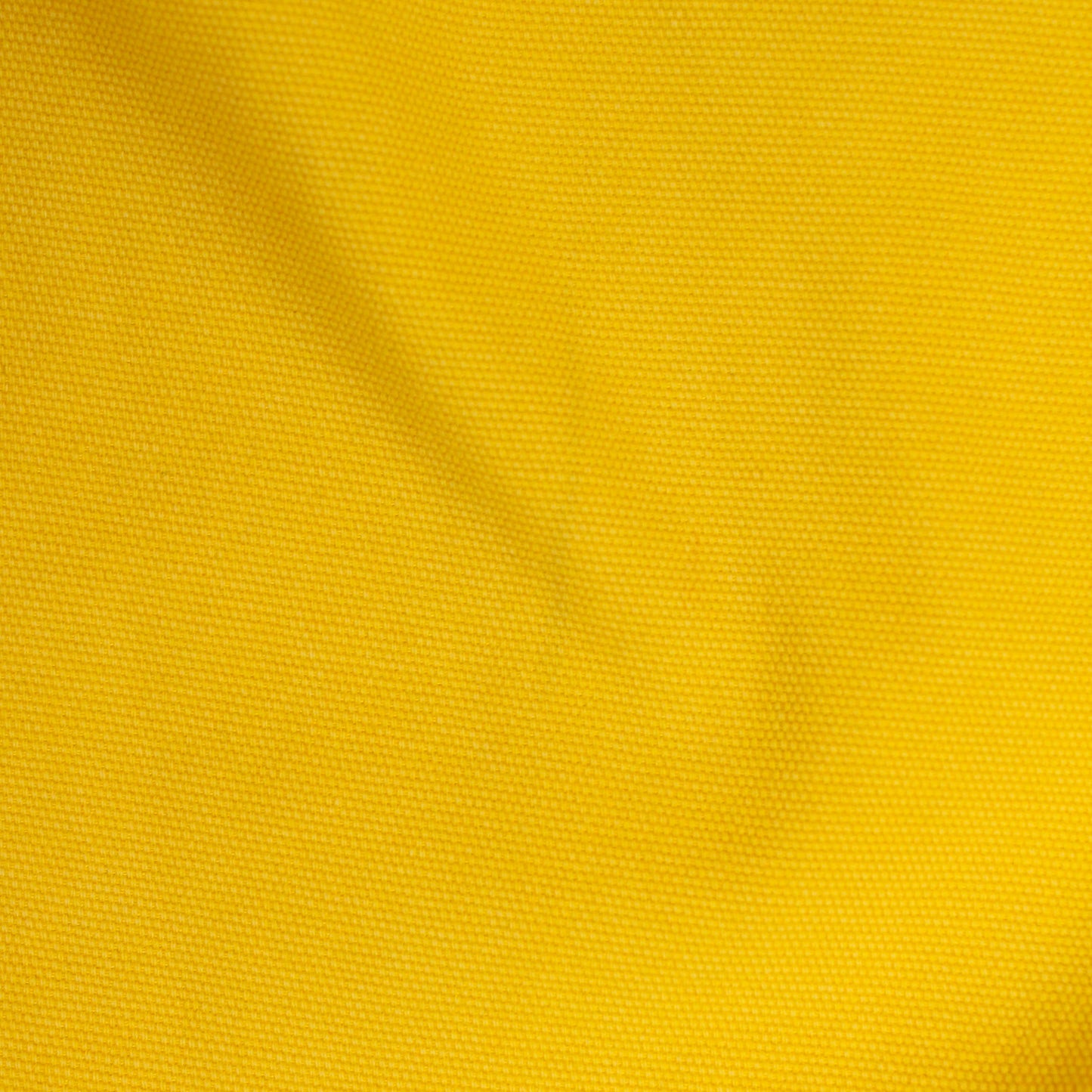 Polo Jeans Co. RL - 67 Canvas Shorts