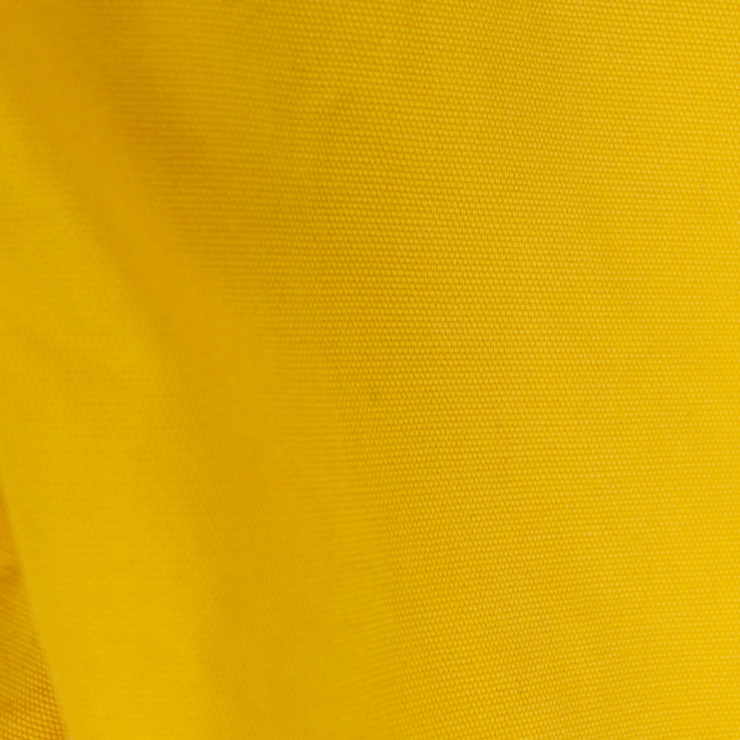 Polo Jeans Co. RL - 67 Canvas Shorts