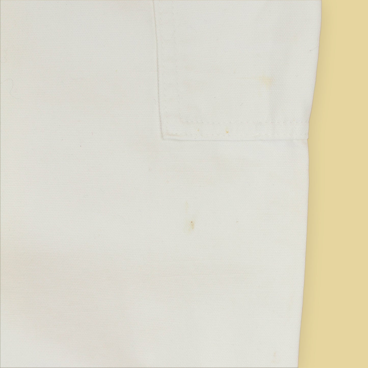 Polo Ralph Lauren Canvas Double Knee Carpenter Pants