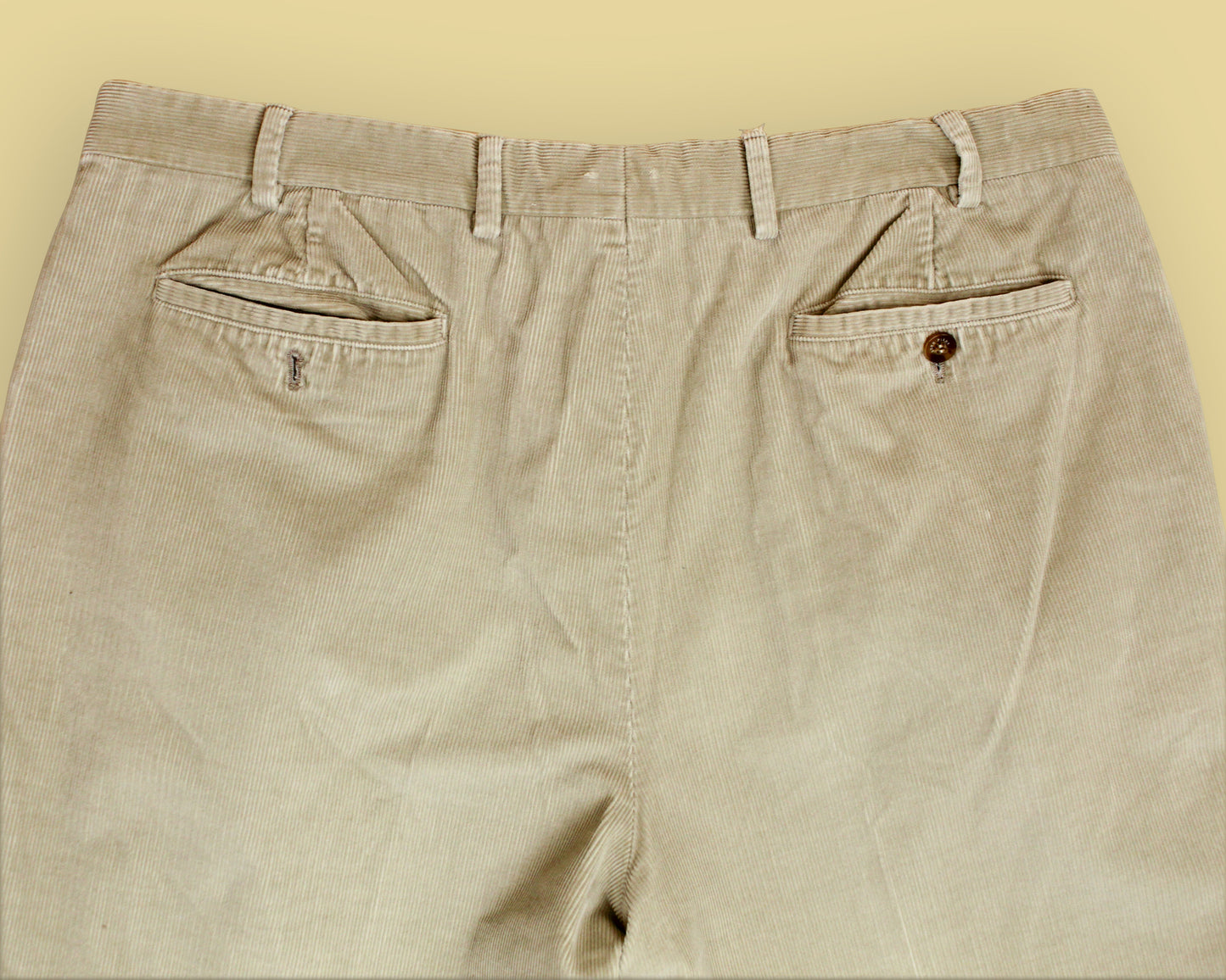 Loro Piana Pleated Corduroy Pants