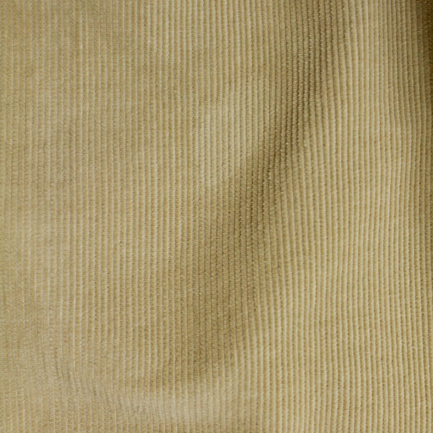 Loro Piana Pleated Corduroy Pants