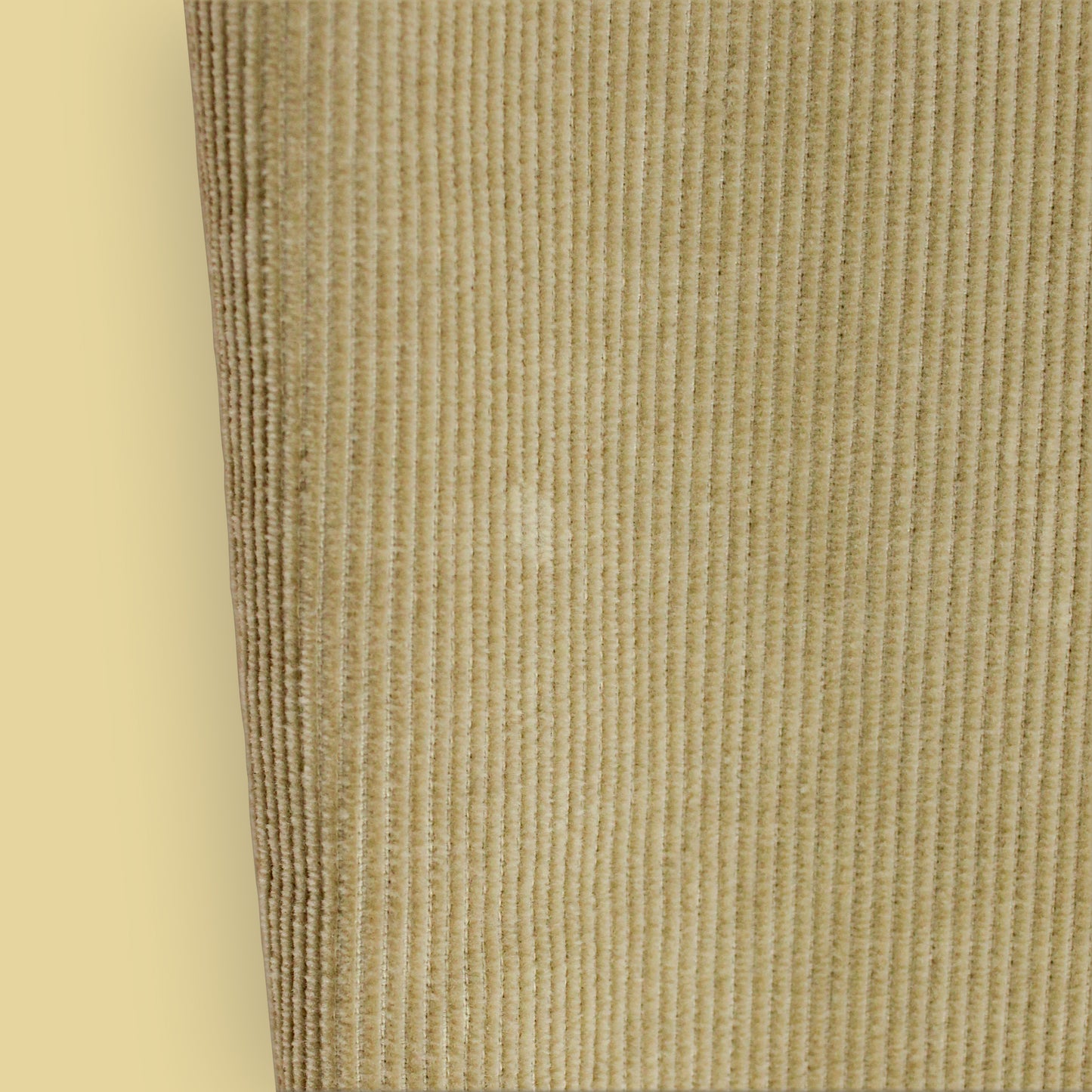 Loro Piana Pleated Corduroy Pants