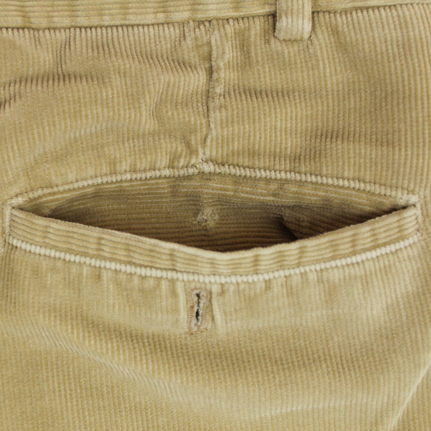Loro Piana Pleated Corduroy Pants