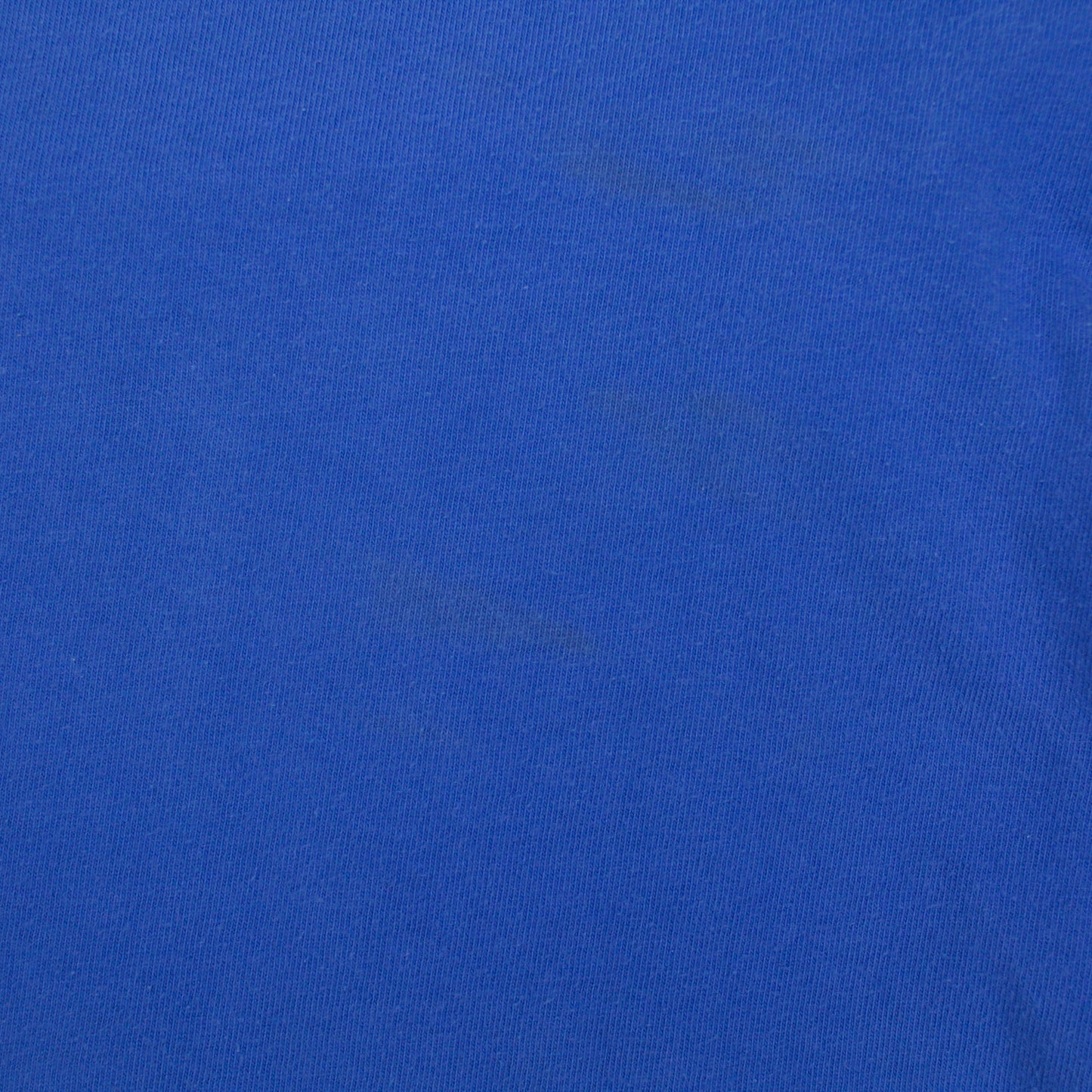 Vintage Polo Ralph Lauren Basketball Bear Graphic T-Shirt
