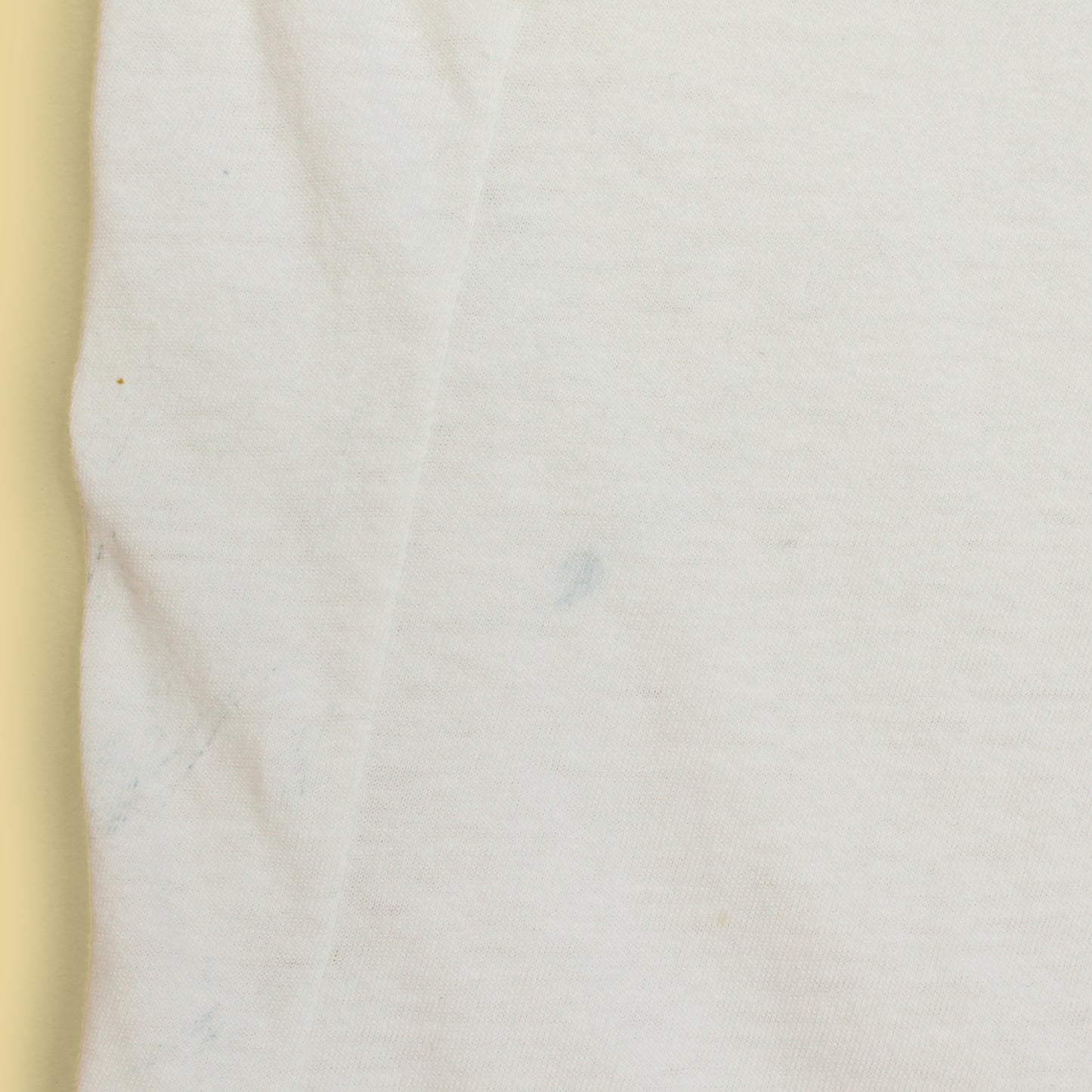 Vintage Polo Ralph Lauren Florida Graphic T-Shirt
